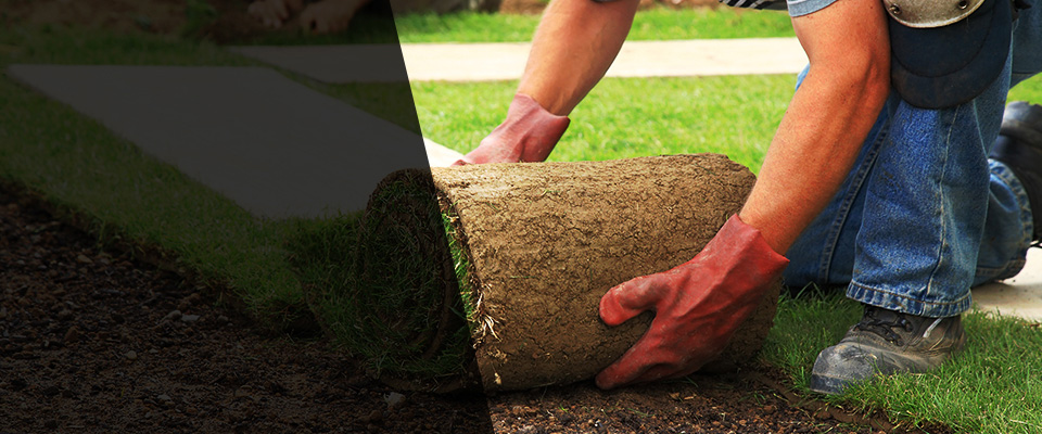 Corsicana Landscapers